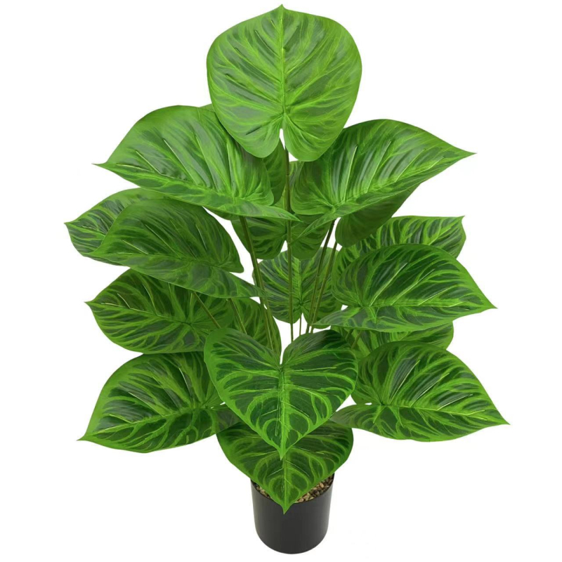 Pārrobežu karstā izpārdošana Ziemeļvalstu simulācija Zaļā stādīšanas koka pundurkociņš Bonsai augu ainavu displeja logs Iekštelpu mājas viesistabas dekorēšanai