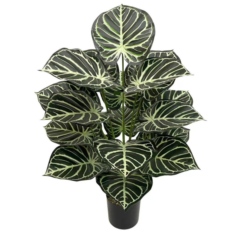 Pārrobežu karstā izpārdošana Ziemeļvalstu simulācija Zaļā stādīšanas koka pundurkociņš Bonsai augu ainavu displeja logs Iekštelpu mājas viesistabas dekorēšanai