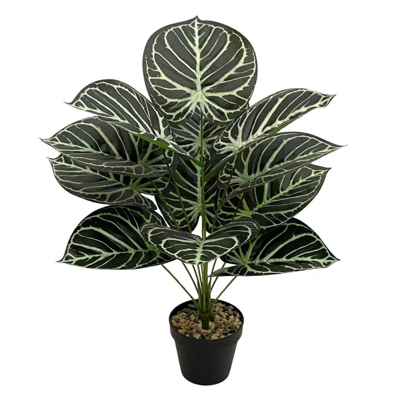 Pārrobežu karstā izpārdošana Ziemeļvalstu simulācija Zaļā stādīšanas koka pundurkociņš Bonsai augu ainavu displeja logs Iekštelpu mājas viesistabas dekorēšanai