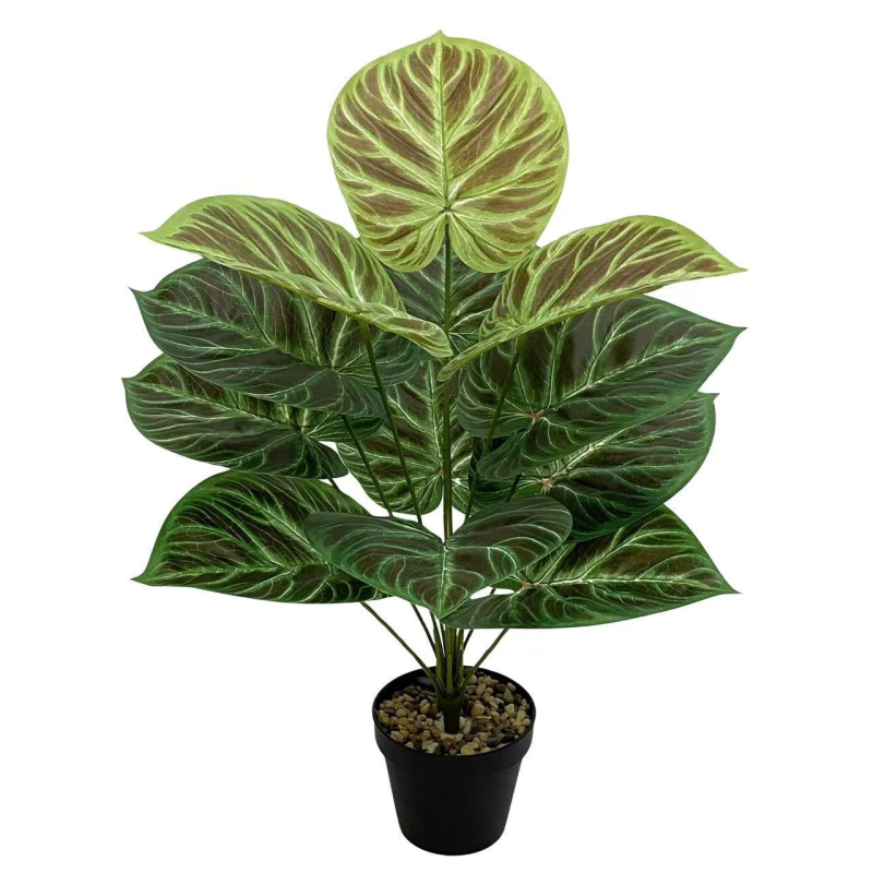 Pārrobežu karstā izpārdošana Ziemeļvalstu simulācija Zaļā stādīšanas koka pundurkociņš Bonsai augu ainavu displeja logs Iekštelpu mājas viesistabas dekorēšanai