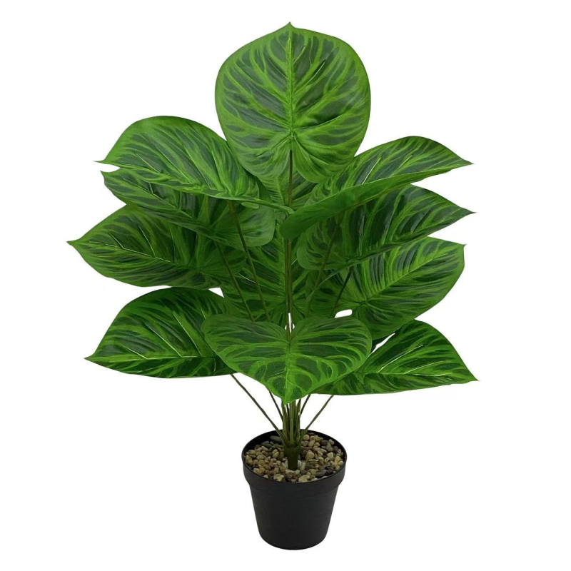 Pārrobežu karstā izpārdošana Ziemeļvalstu simulācija Zaļā stādīšanas koka pundurkociņš Bonsai augu ainavu displeja logs Iekštelpu mājas viesistabas dekorēšanai