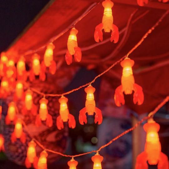 Εξωτερικά φώτα ατμόσφαιρας νυχτερινής αγοράς σε σχήμα στεφάνου, διακοσμητικά φώτα για μπουκάλια μπύρας, δίχτυ κόκκινο, διάταξη κορμού, μπάρμπεκιου, κρεμαστά φώτα καταστήματος