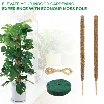 Dviejų dalių 80 cm sulankstomų kokoso lazdų komplektas su kanapių virvės dugnu, laipiojimo rotango rėmu, sulankstoma formuojama kokoso lazdos atrama