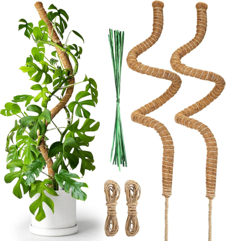 Dviejų dalių 80 cm sulankstomų kokoso lazdų komplektas su kanapių virvės dugnu, laipiojimo rotango rėmu, sulankstoma formuojama kokoso lazdos atrama