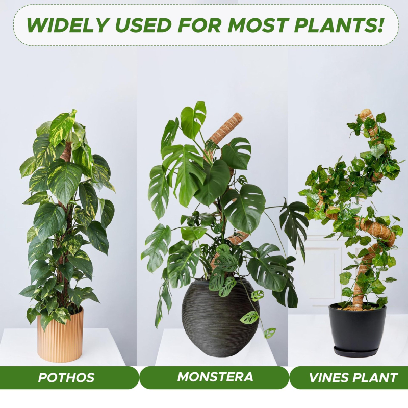 Dviejų dalių 80 cm sulankstomų kokoso lazdų komplektas su kanapių virvės dugnu, laipiojimo rotango rėmu, sulankstoma formuojama kokoso lazdos atrama