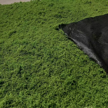 Siūlinės samanos vejos modeliavimas, dirbtinių samanų modeliavimas, vilnonių samanų kraštovaizdžio išdėstymas, vejos bonsai, bonsai dangos storinimas