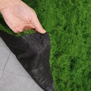 Siūlinės samanos vejos modeliavimas, dirbtinių samanų modeliavimas, vilnonių samanų kraštovaizdžio išdėstymas, vejos bonsai, bonsai dangos storinimas