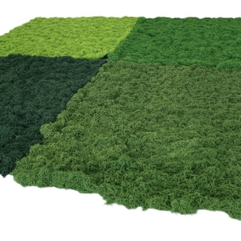 Siūlinės samanos vejos modeliavimas, dirbtinių samanų modeliavimas, vilnonių samanų kraštovaizdžio išdėstymas, vejos bonsai, bonsai dangos storinimas