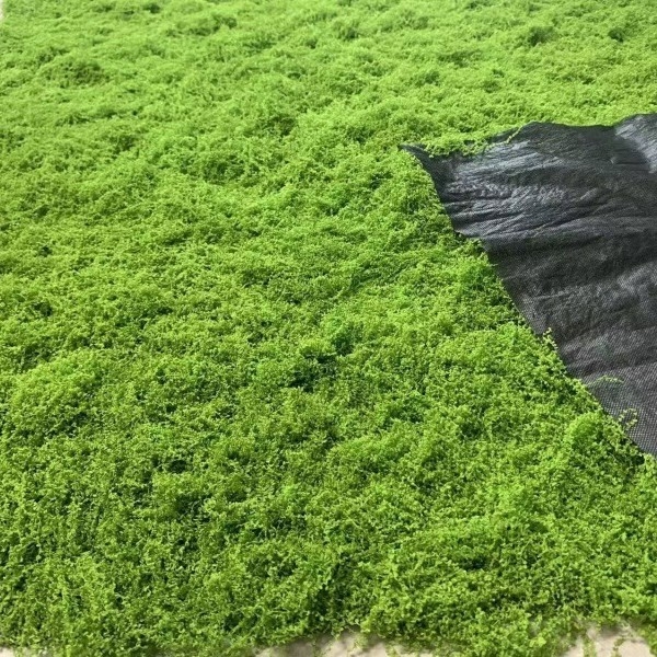 Siūlinės samanos vejos modeliavimas, dirbtinių samanų modeliavimas, vilnonių samanų kraštovaizdžio išdėstymas, vejos bonsai, bonsai dangos storinimas