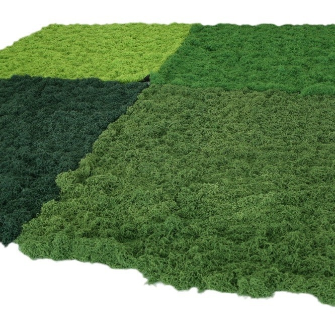 Siūlinės samanos vejos modeliavimas, dirbtinių samanų modeliavimas, vilnonių samanų kraštovaizdžio išdėstymas, vejos bonsai, bonsai dangos storinimas