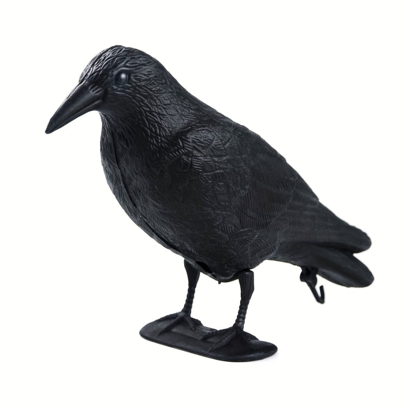În stoc Amazon pentru decorarea corbului, simulare, decorațiune de corb din plastic cu picioare, grămadă, curte, grădină