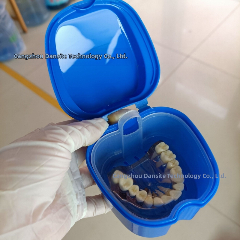 Zobu protēžu ievietošanas kaste Pilna zobu protēžu kaste Zobu protēžu kaste Pilna zobu protēžu kaste Zobu protēžu kaste Zobu protēžu kaste ar tīkliņu Zobu protēžu kaste Ābolu zobu protēžu kaste 53