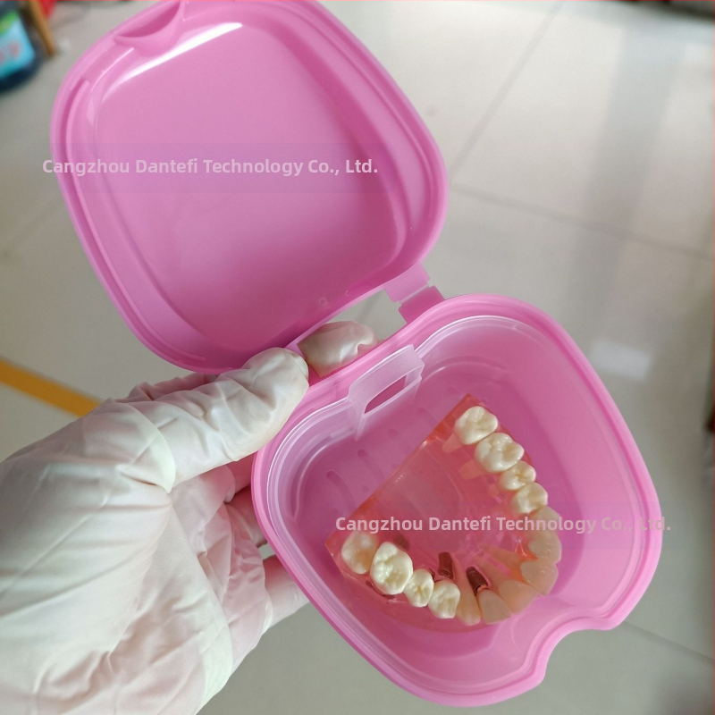 Zobu protēžu ievietošanas kaste Pilna zobu protēžu kaste Zobu protēžu kaste Pilna zobu protēžu kaste Zobu protēžu kaste Zobu protēžu kaste ar tīkliņu Zobu protēžu kaste Ābolu zobu protēžu kaste 53