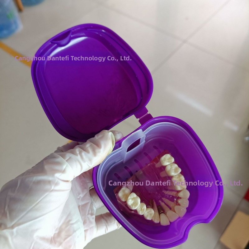 Zobu protēžu ievietošanas kaste Pilna zobu protēžu kaste Zobu protēžu kaste Pilna zobu protēžu kaste Zobu protēžu kaste Zobu protēžu kaste ar tīkliņu Zobu protēžu kaste Ābolu zobu protēžu kaste 53