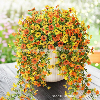 Διασυνοριακή προσομοίωση Amazon βιολετί μικτού χρώματος τοίχου τοποθετημένο σε εξωτερικό περβάζι παραθύρου κήπου με κρεμαστό καλάθι κρεμαστή διακόσμηση αυλής