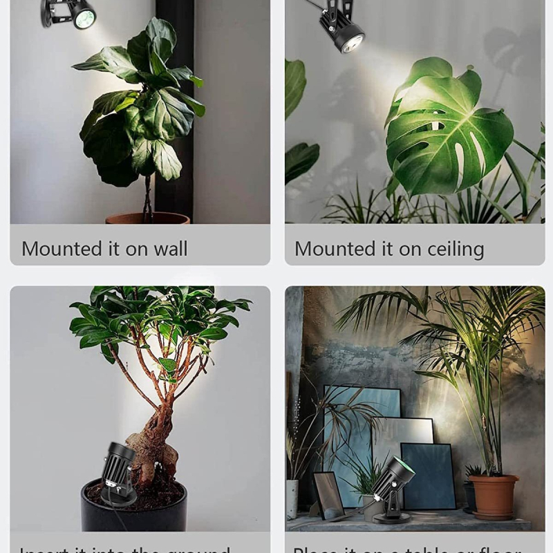 Vidinis 3 W trijų spalvų mažas prožektorius su reguliuojamu ryškumu, reguliuojama spalvų temperatūra, gali būti reguliariai komplektuojamas su važiuoklės įžeminimo kištuku vidaus kraštovaizdžio apšvietimui.