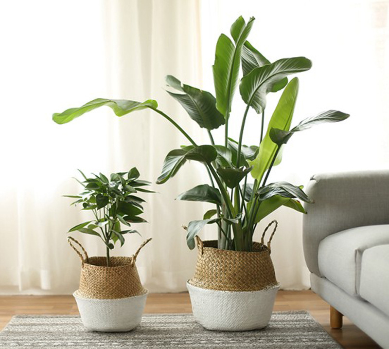 Sulankstomas šiaudinis gėlių krepšelis ant grindų, kūrybingas vidaus daiktų laikymo krepšelis, „Nordic“ namų viešbučio dekoravimo kioskas, lengvas gėlių krepšelis