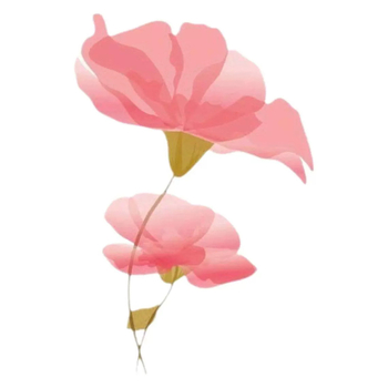 Šventės temos dekoravimas, konfeti, bitė, konfeti, korys, gimtadienio tema, mėtymo rekvizitai, stalo tiesimas