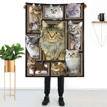 Κουβέρτα φανέλας για κατοικίδια σε καυτές πωλήσεις στο Amazon, κουβέρτα κλιματισμού για ηλικιωμένους, δώρο διπλής όψης φανέλα