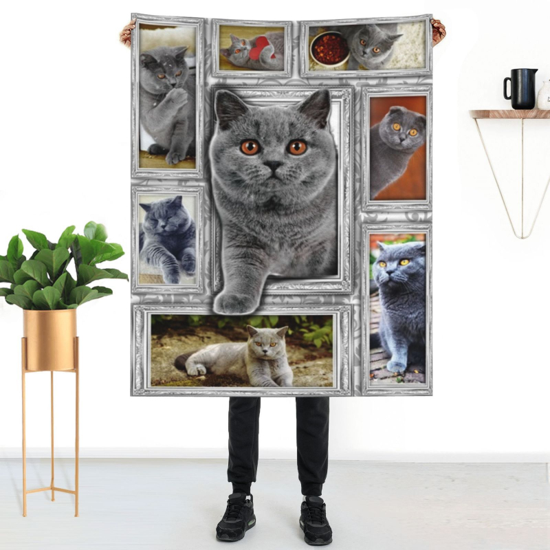 Amazon karsti pārdota kaķu mājdzīvnieku flaneļa sega, gaisa kondicionēšanas sega, vecāka gadagājuma cilvēka dāvana, divpusēja flaneļa sega