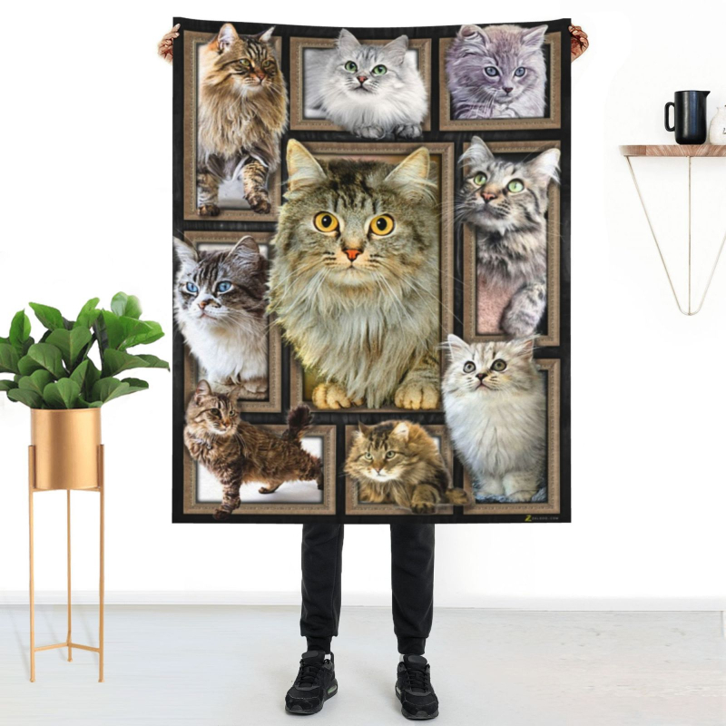 Amazon karsti pārdota kaķu mājdzīvnieku flaneļa sega, gaisa kondicionēšanas sega, vecāka gadagājuma cilvēka dāvana, divpusēja flaneļa sega