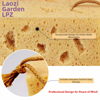 Σφουγγάρι πλυσίματος αυτοκινήτων με κηρήθρα από κοράλλι και φύκια, προμήθειες πλυσίματος αυτοκινήτων, μεγάλο σφουγγάρι πλυσίματος αυτοκινήτων, κατασκευαστές σφουγγαριών κερώματος χονδρικής