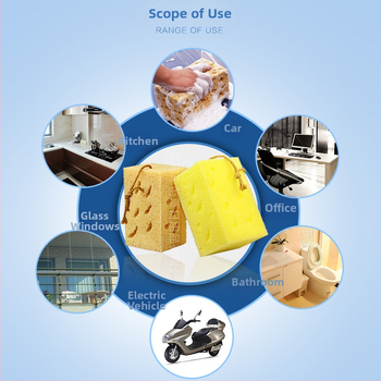 Σφουγγάρι πλυσίματος αυτοκινήτων με κηρήθρα από κοράλλι και φύκια, προμήθειες πλυσίματος αυτοκινήτων, μεγάλο σφουγγάρι πλυσίματος αυτοκινήτων, κατασκευαστές σφουγγαριών κερώματος χονδρικής