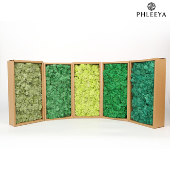 Amžinos samanos, elnių samanos, didmeninė prekyba dekoratyvinėmis dovanų dėžutėmis, samanų sienos samanos, meno samanos