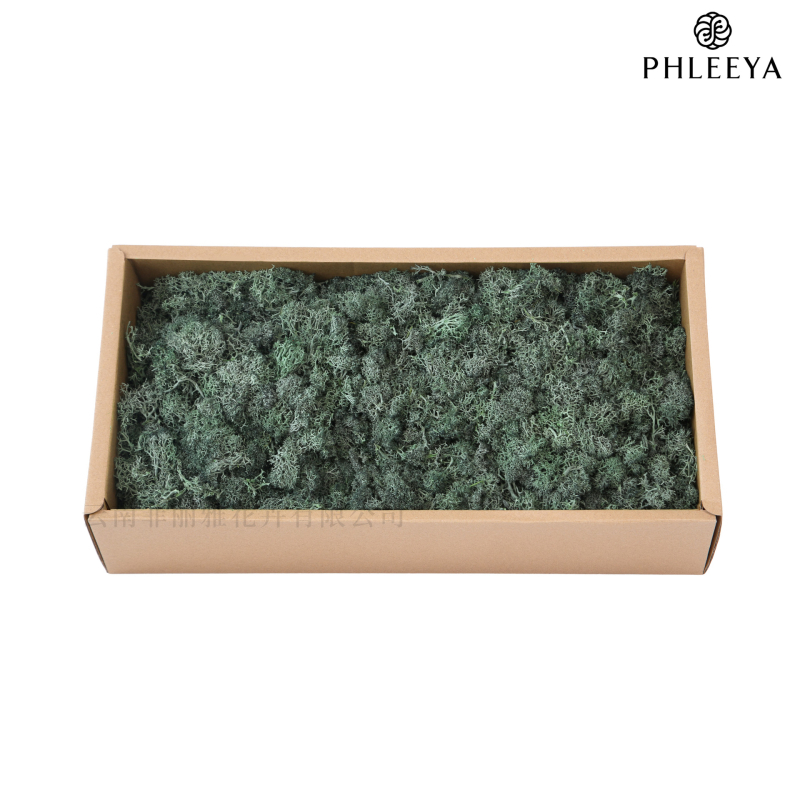 Amžinos samanos, elnių samanos, didmeninė prekyba dekoratyvinėmis dovanų dėžutėmis, samanų sienos samanos, meno samanos