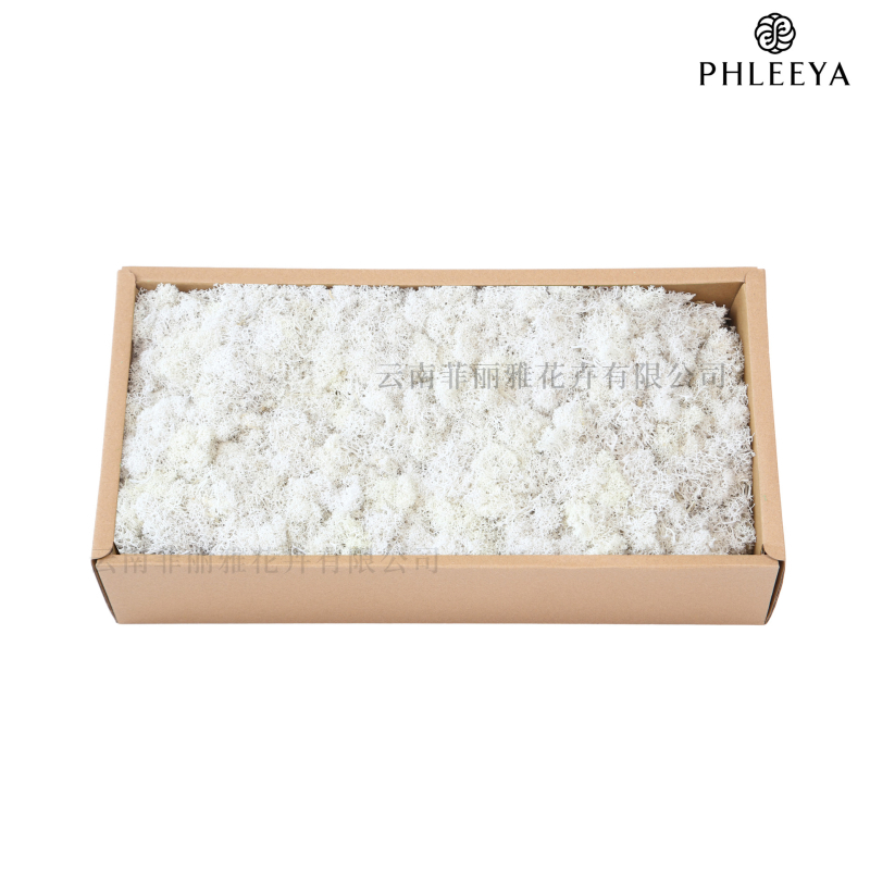 Amžinos samanos, elnių samanos, didmeninė prekyba dekoratyvinėmis dovanų dėžutėmis, samanų sienos samanos, meno samanos