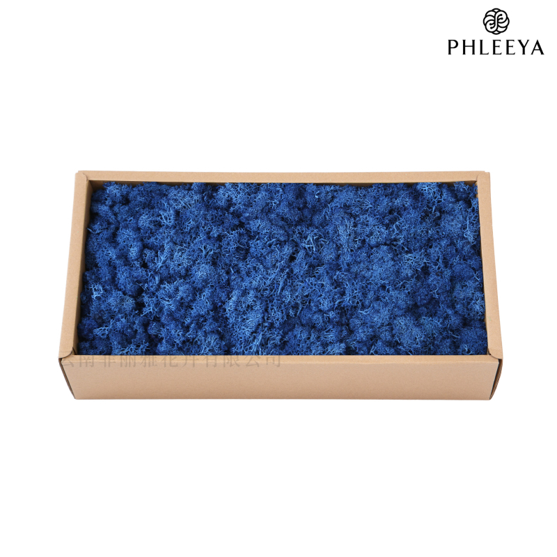 Amžinos samanos, elnių samanos, didmeninė prekyba dekoratyvinėmis dovanų dėžutėmis, samanų sienos samanos, meno samanos