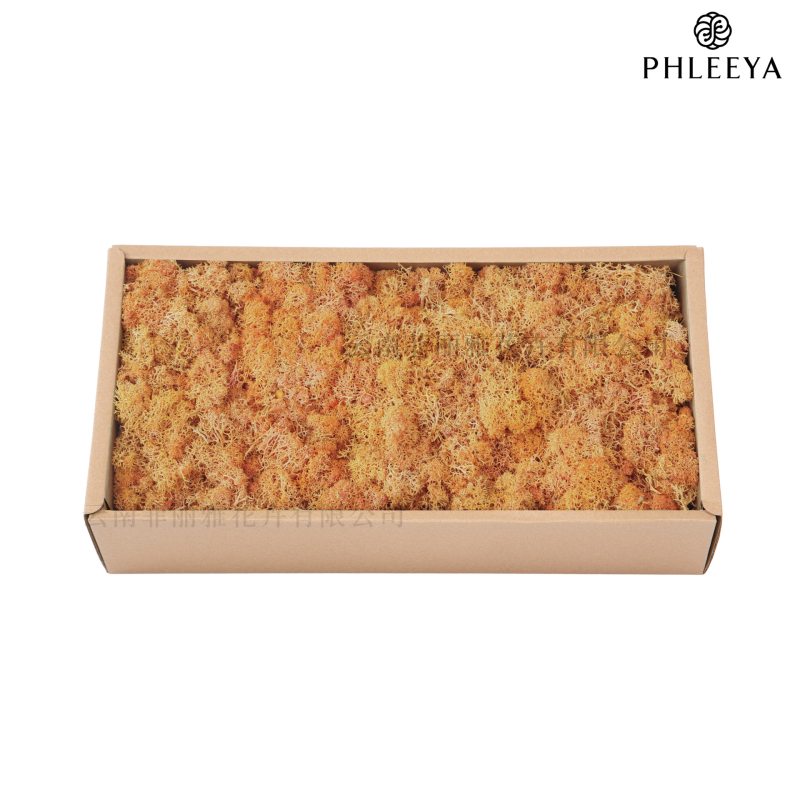 Amžinos samanos, elnių samanos, didmeninė prekyba dekoratyvinėmis dovanų dėžutėmis, samanų sienos samanos, meno samanos