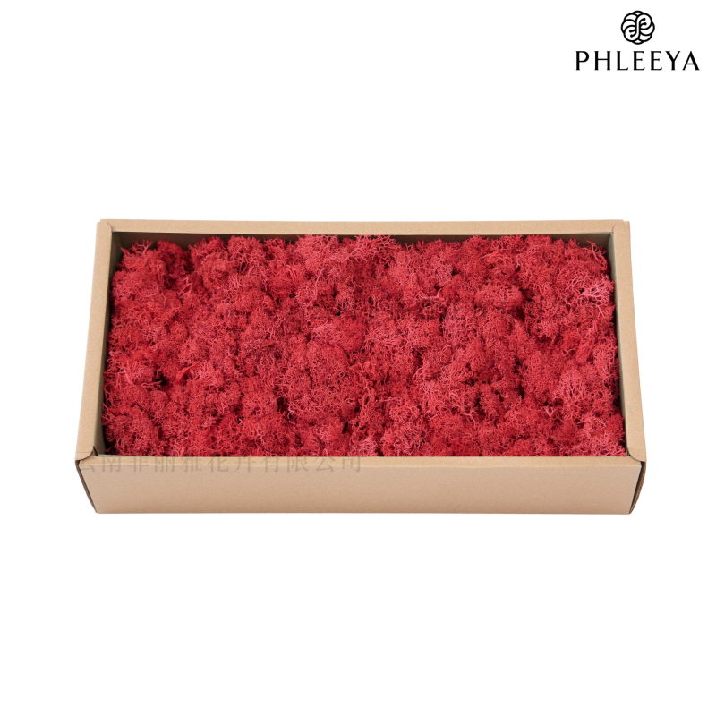 Amžinos samanos, elnių samanos, didmeninė prekyba dekoratyvinėmis dovanų dėžutėmis, samanų sienos samanos, meno samanos