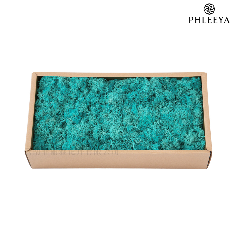 Amžinos samanos, elnių samanos, didmeninė prekyba dekoratyvinėmis dovanų dėžutėmis, samanų sienos samanos, meno samanos