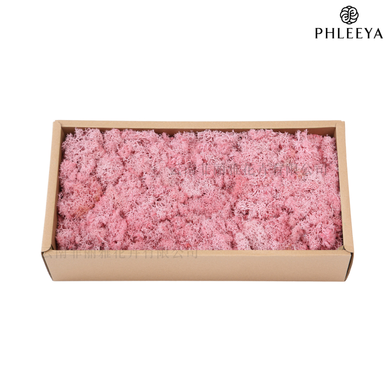 Amžinos samanos, elnių samanos, didmeninė prekyba dekoratyvinėmis dovanų dėžutėmis, samanų sienos samanos, meno samanos