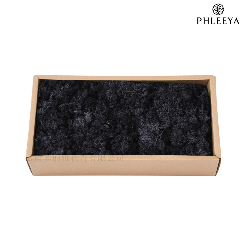 Amžinos samanos, elnių samanos, didmeninė prekyba dekoratyvinėmis dovanų dėžutėmis, samanų sienos samanos, meno samanos