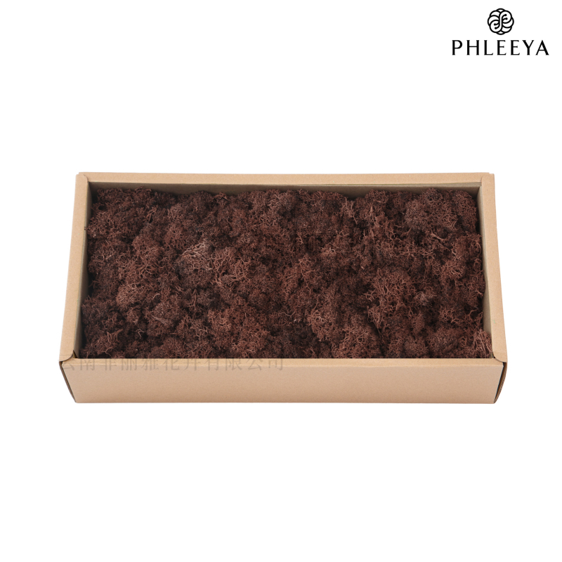 Amžinos samanos, elnių samanos, didmeninė prekyba dekoratyvinėmis dovanų dėžutėmis, samanų sienos samanos, meno samanos