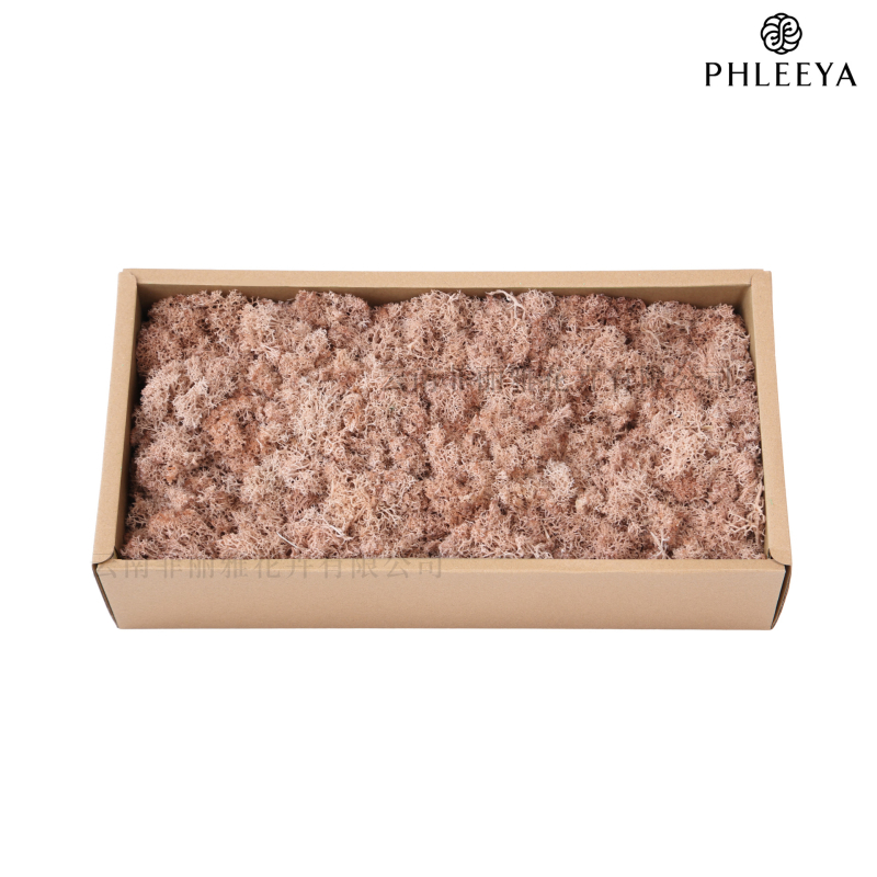 Amžinos samanos, elnių samanos, didmeninė prekyba dekoratyvinėmis dovanų dėžutėmis, samanų sienos samanos, meno samanos