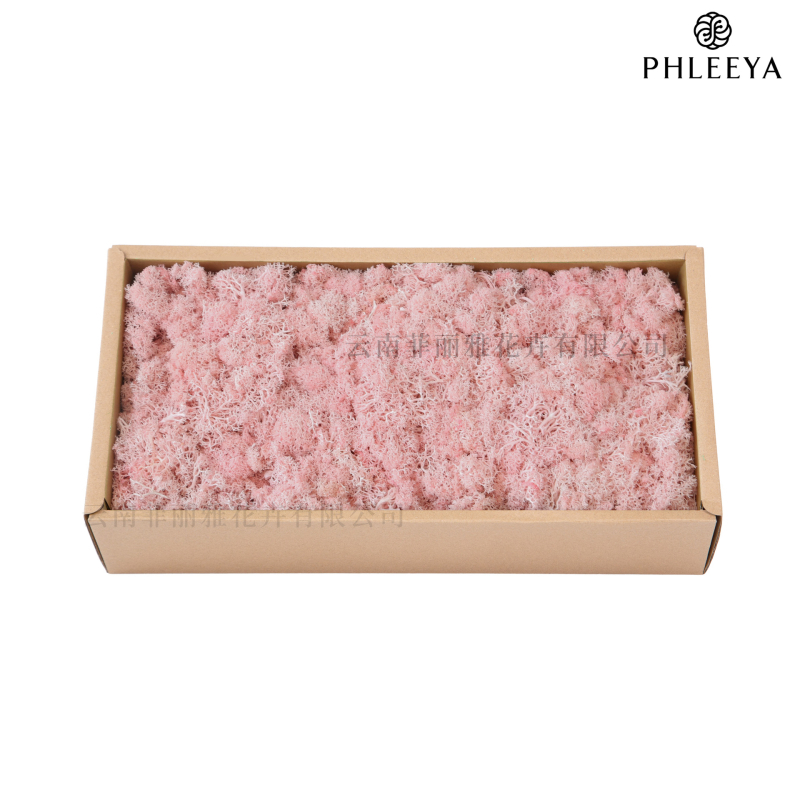 Amžinos samanos, elnių samanos, didmeninė prekyba dekoratyvinėmis dovanų dėžutėmis, samanų sienos samanos, meno samanos