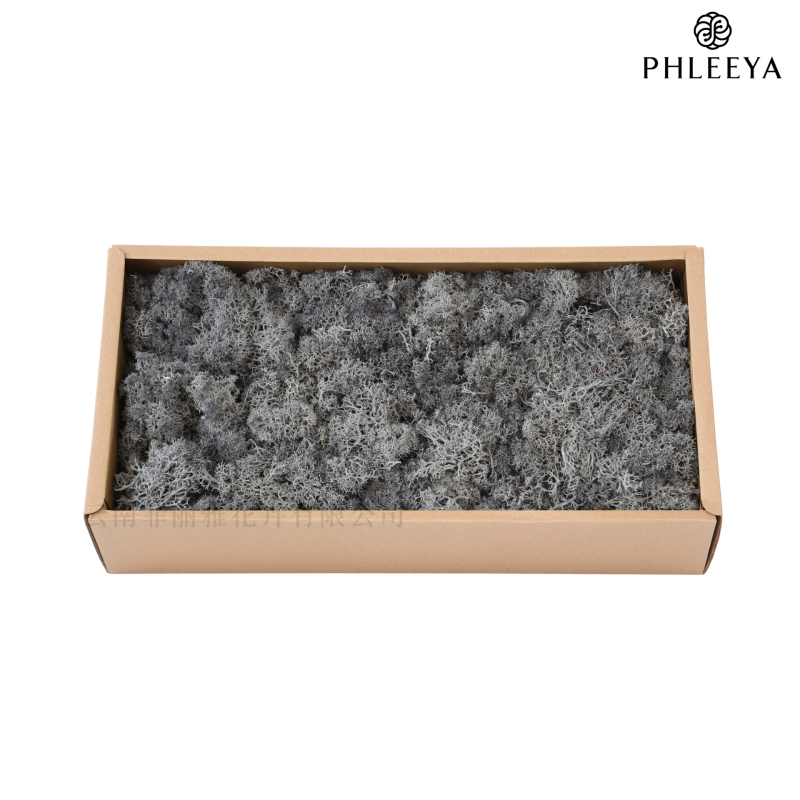 Amžinos samanos, elnių samanos, didmeninė prekyba dekoratyvinėmis dovanų dėžutėmis, samanų sienos samanos, meno samanos