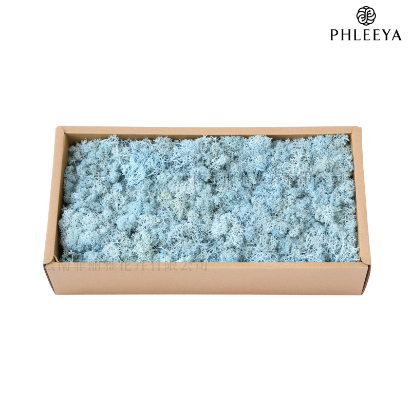 Amžinos samanos, elnių samanos, didmeninė prekyba dekoratyvinėmis dovanų dėžutėmis, samanų sienos samanos, meno samanos