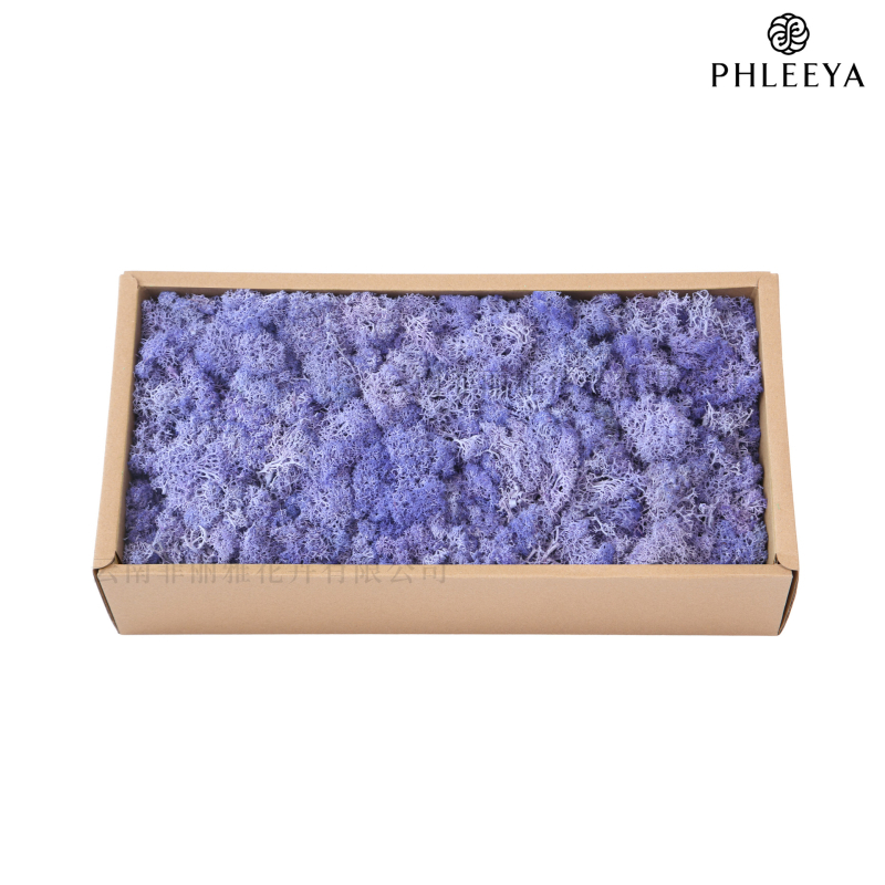 Amžinos samanos, elnių samanos, didmeninė prekyba dekoratyvinėmis dovanų dėžutėmis, samanų sienos samanos, meno samanos