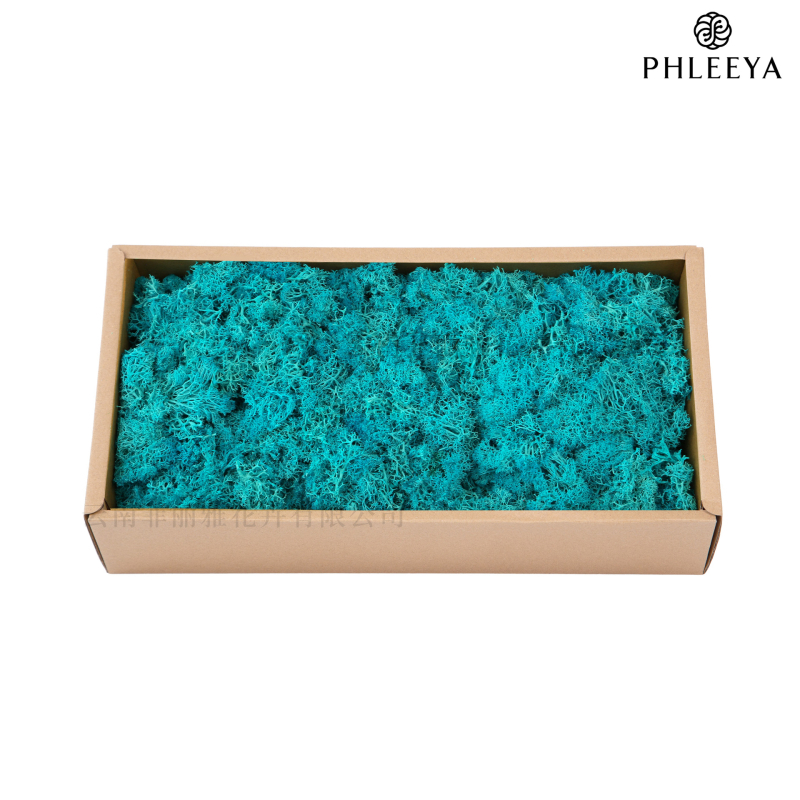 Amžinos samanos, elnių samanos, didmeninė prekyba dekoratyvinėmis dovanų dėžutėmis, samanų sienos samanos, meno samanos