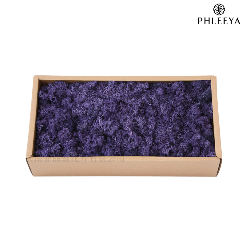 Amžinos samanos, elnių samanos, didmeninė prekyba dekoratyvinėmis dovanų dėžutėmis, samanų sienos samanos, meno samanos