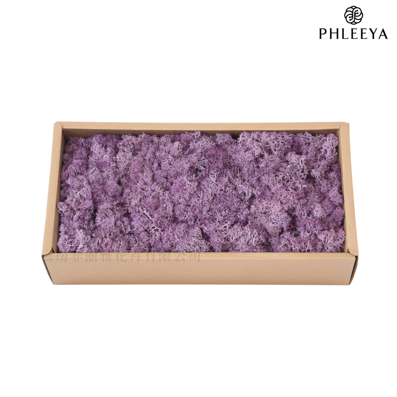 Amžinos samanos, elnių samanos, didmeninė prekyba dekoratyvinėmis dovanų dėžutėmis, samanų sienos samanos, meno samanos