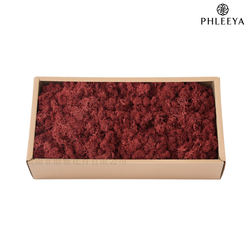 Amžinos samanos, elnių samanos, didmeninė prekyba dekoratyvinėmis dovanų dėžutėmis, samanų sienos samanos, meno samanos