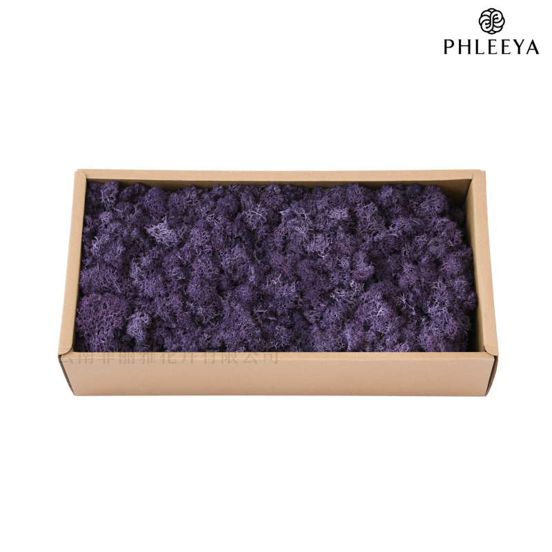 Amžinos samanos, elnių samanos, didmeninė prekyba dekoratyvinėmis dovanų dėžutėmis, samanų sienos samanos, meno samanos