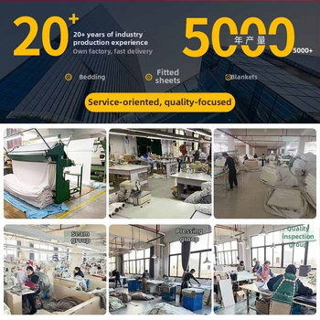 2025 m. nauja, didelio svorio bokšto aksominė antklodė, tarpvalstybiniu mastu parduodama, stora šilta ėrienos aksominė antklodė, tiesioginiai pardavimai gamykloje