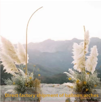 Διασυνοριακό Amazon Γάμος Σχήμα Αψίδας Πάρτι Μπαλόνι Αψίδα Βάση Αψίδας Διαγώνιος Βάση Αψίδας Οδικός Μόλυβδος