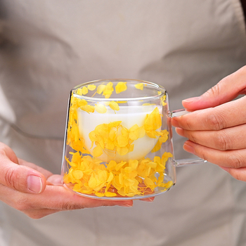 Διαφανές διπλό γυάλινο φλιτζάνι καφέ υψηλής αξίας με λαβή για δημιουργικά λουλούδια και φυτά, διπλό απλό, ξηρό γυάλινο φλιτζάνι